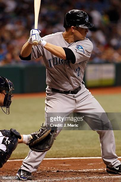Infielder Aaron Hill of the Toronto Blue Jays bats against the Tampa Bay Rays during the game at Tropicana Field on April 24, 2010 in St. Petersburg,...