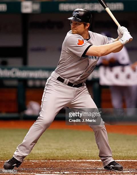 Designated hitter Adam Lind of the Toronto Blue Jays bats against the Tampa Bay Rays during the game at Tropicana Field on April 24, 2010 in St....