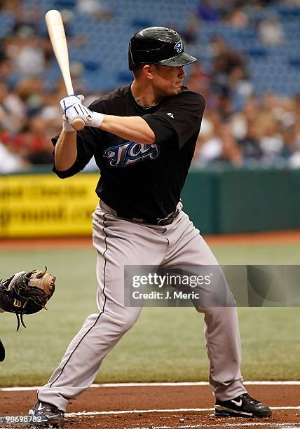 Infielder Aaron Hill of the Toronto Blue Jays bats against the Tampa Bay Rays during the game at Tropicana Field on April 25, 2010 in St. Petersburg,...