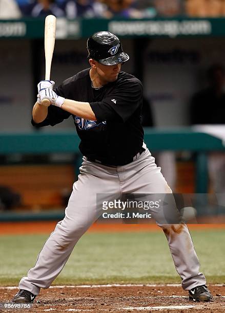 Infielder Aaron Hill of the Toronto Blue Jays bats against the Tampa Bay Rays during the game at Tropicana Field on April 25, 2010 in St. Petersburg,...