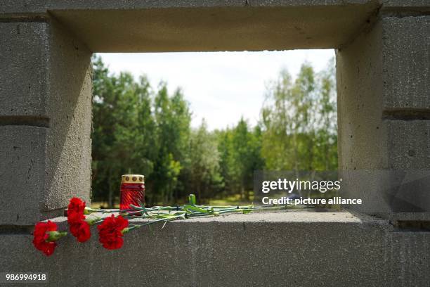 June 2018, Germany, Minsk: Carnations placed on a window of a so-called "Waggon" during the inauguration of the memorial site Malyj Trostenez. Malyj...