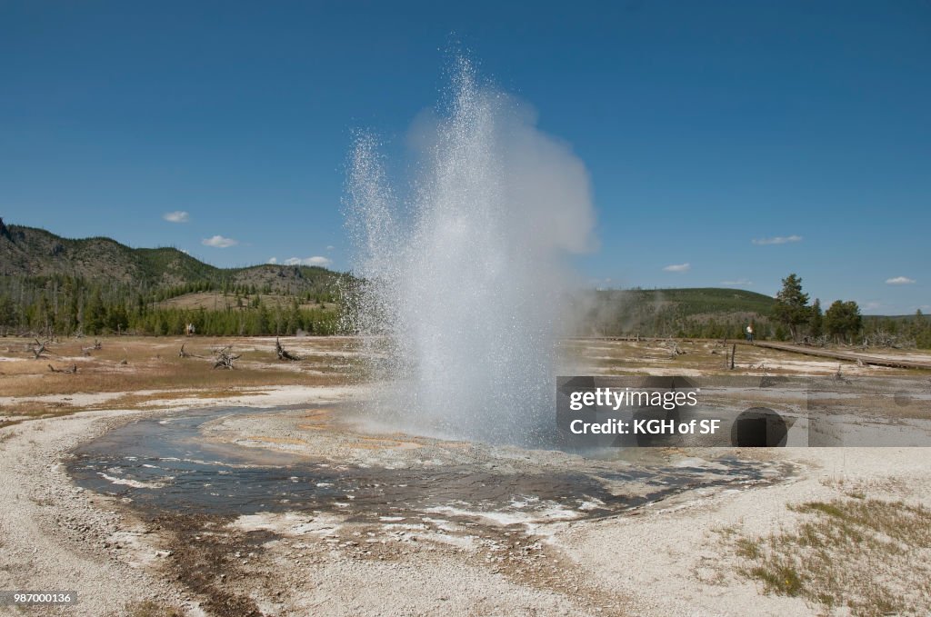 Jewel Geyser