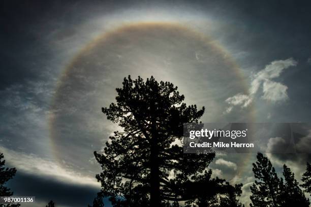 Sunbow Ravage 71 Sunbow Stock Photos, High-Res Pictures, and Images - Getty Images