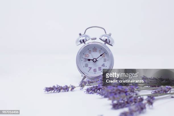 plan the time - printemps stock pictures, royalty-free photos & images