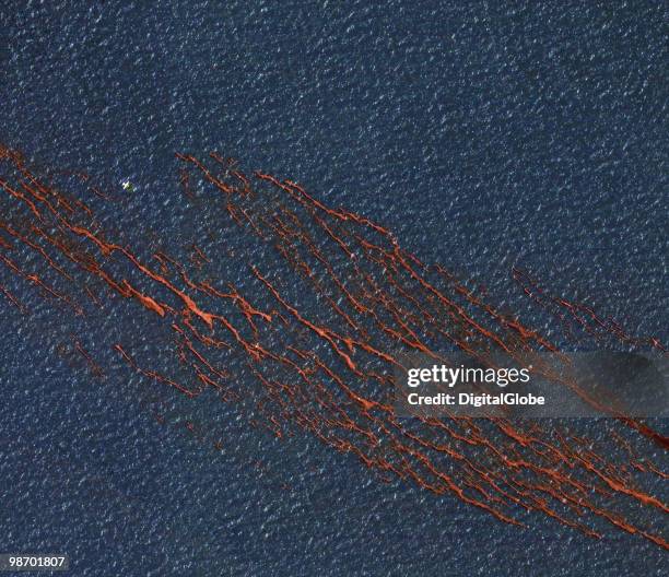 In this satellite image, the oil slick produced Transocean Deepwater Horizon drilling rig explosion is seen April 26, 2010 in The Gulf of Mexico. The...