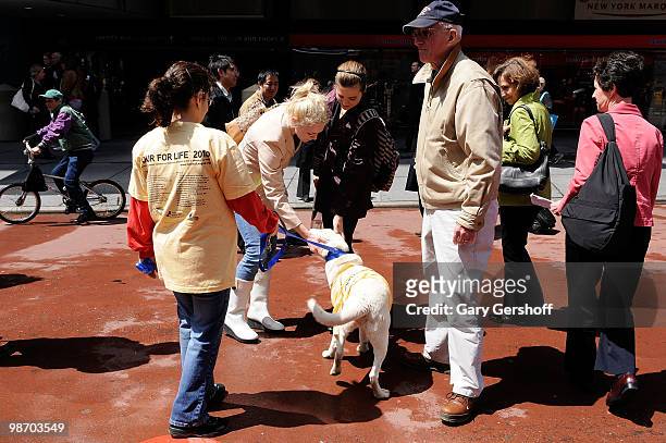 Atmosphere seen at Mya Hosts North Shore Animal League America's Tour For Life at Times Square on April 27, 2010 in New York City.