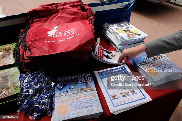 Atmosphere seen at Mya Hosts North Shore Animal League America's Tour For Life at Times Square on April 27, 2010 in New York City.