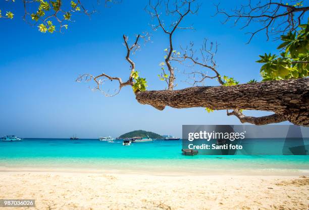 beach of similan islands - similan islands stock pictures, royalty-free photos & images