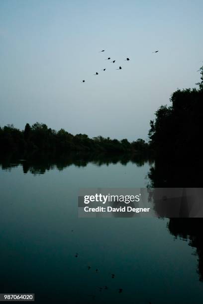 Calm photo of The Gambia River at Dusk in Basse Santé Su, The Gambia. At sunset many birds come out and can be seen traversing the river.