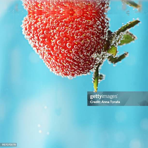 Admire Me High-Res Stock Photo