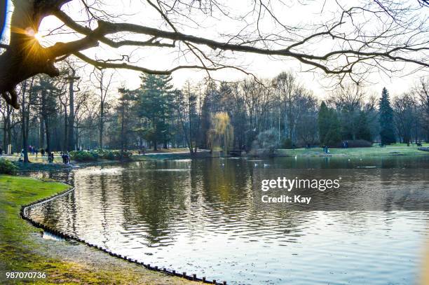 lazienki park 2 - lazienki park stockfoto's en -beelden