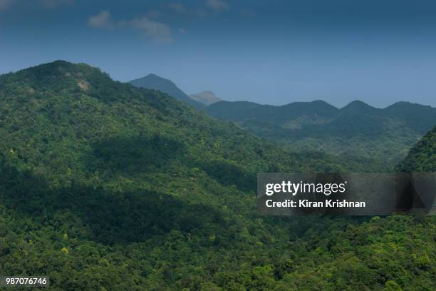 silent valley national park of western ghats - western ghats stock-fotos und bilder