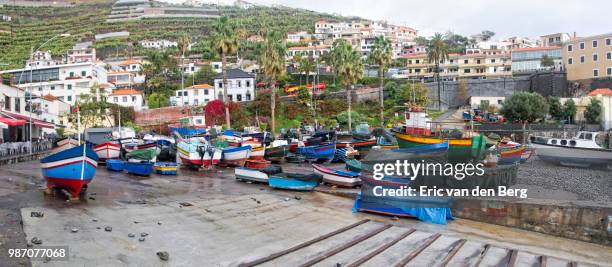 harbour at camara de lobos - camara de photos stock pictures, royalty-free photos & images