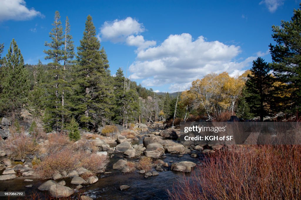 West Fork Carson River