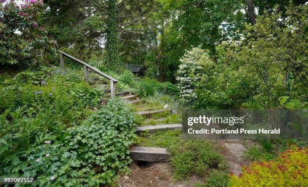 Cathy Chapman uses various types of groundcover and native plant species for the backyard of her South Portland home instead of having just a grass...