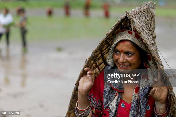 Nepalese woman arrives at paddy field to celebrate National Paddy Day or Asar Pandra, which marks the commencement of rice crop planting in paddy...