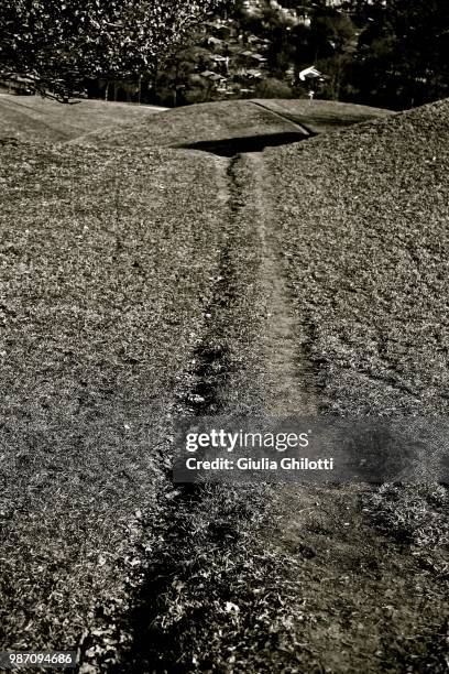 Balck Path 647 Balck And White Photo Stock Photos, High-Res Pictures, and Images ...
