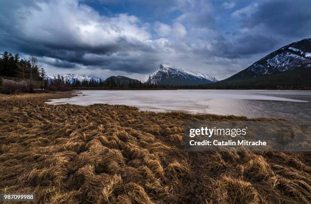 the vermilion lake in alberta, canada. - monte rundle - fotografias e filmes do acervo