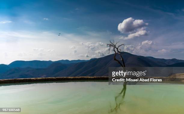 hierve el agua - abad stock pictures, royalty-free photos & images