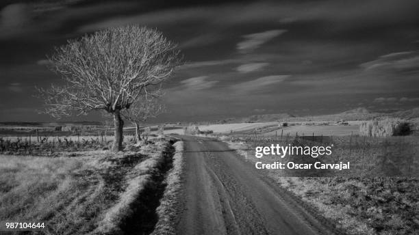 lonely road ir - carvajal stock pictures, royalty-free photos & images