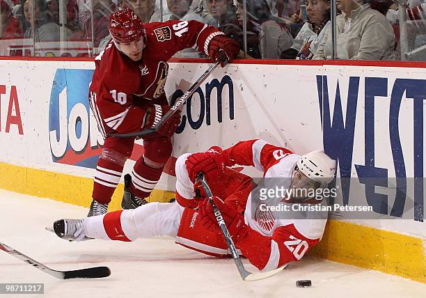 Drew Miller of the Detroit Red Wings attempts to control the puck under pressure from Petr Prucha of the Phoenix Coyotes in Game Seven of the Western...