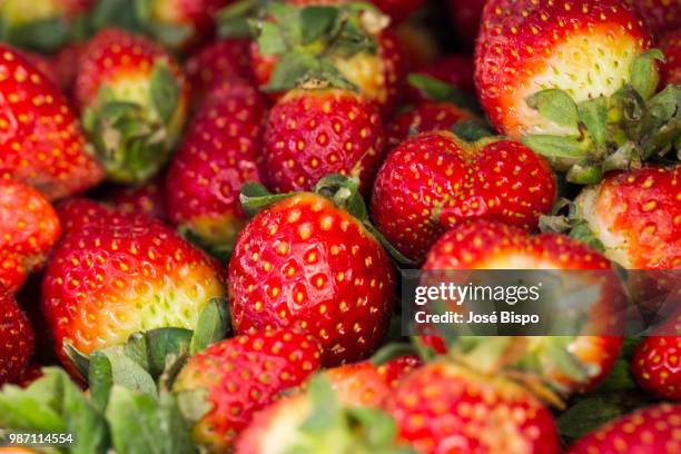 strawberries - 5 am tag stock-fotos und bilder