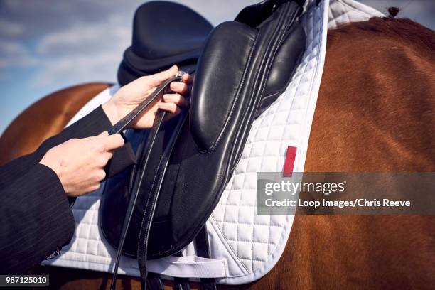 a young woman tacking up her horse prior to a ride - saddle stock-fotos und bilder
