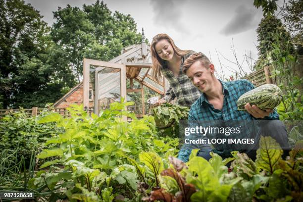 two young gardeners work in their vegetable garden - green thumb refrán en inglés fotografías e imágenes de stock
