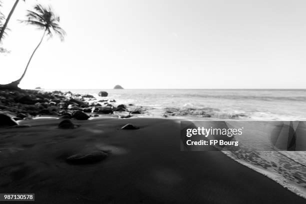 dark paradise - martinique beach stock pictures, royalty-free photos & images