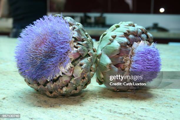 artichoke heads - cardon photos et images de collection