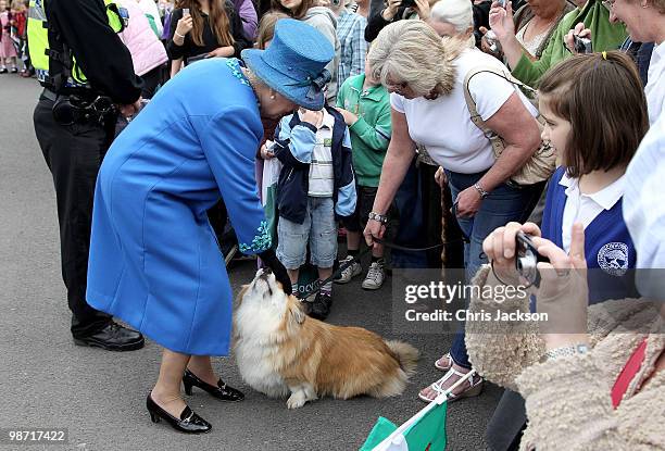 Queen Elizabeth II meets a corgi called Spencer as she arrives at Welshpool train station on April 28, 2010 in Welshpool, Wales. The Queen and Duke...