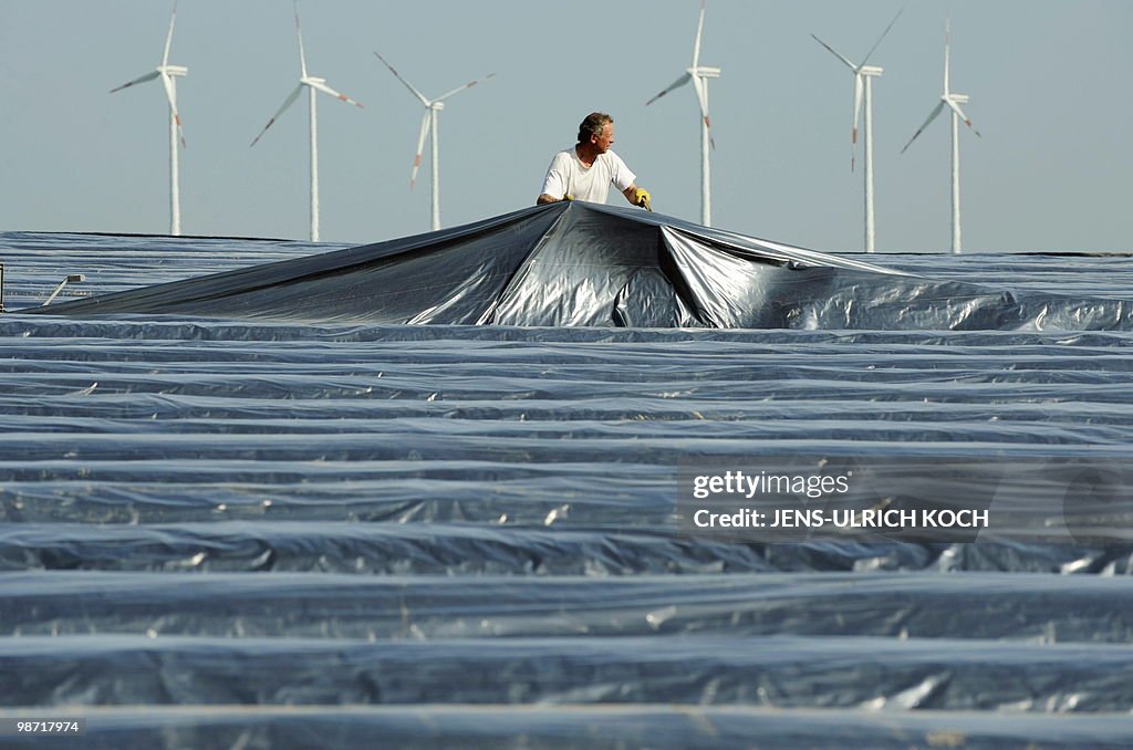 A seasonal worker takes part in the aspa