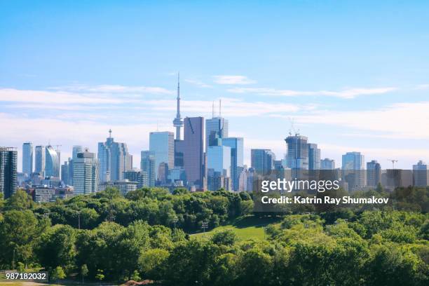 summer toronto skyline seen from riverdale park - toronto cityscape stock pictures, royalty-free photos & images