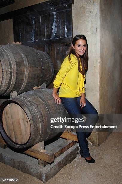 Spanish actress Paula Echevarria poses for a portrait session on April 28, 2010 in Madrid, Spain.