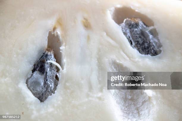 macro a cherimoya (annona cherimola) fruit - magnoliids stock pictures, royalty-free photos & images