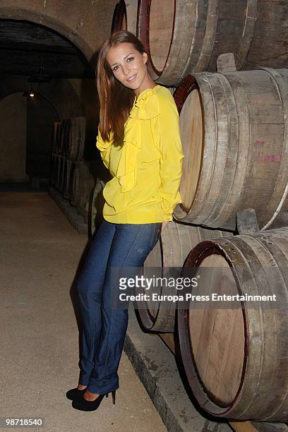 Spanish actress Paula Echevarria poses for a portrait session on April 28, 2010 in Madrid, Spain.