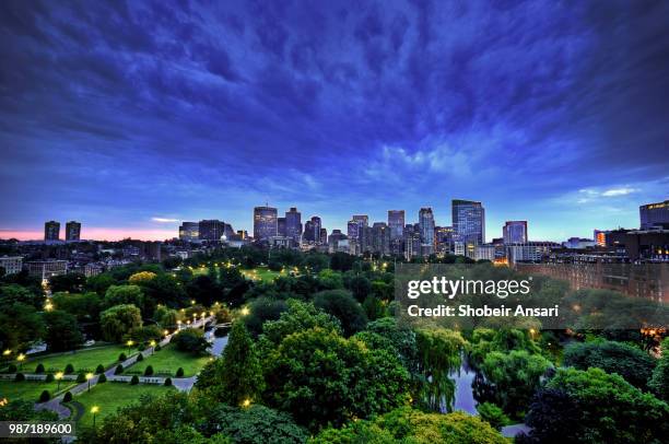 aerial view of boston skyline and boston public garden at night - boston seaport stockfoto's en -beelden