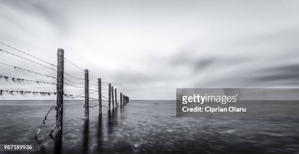 baltic sea - ciprian stock pictures, royalty-free photos & images