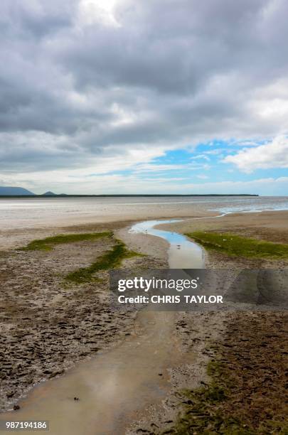 winding stream - sandy taylor stock pictures, royalty-free photos & images