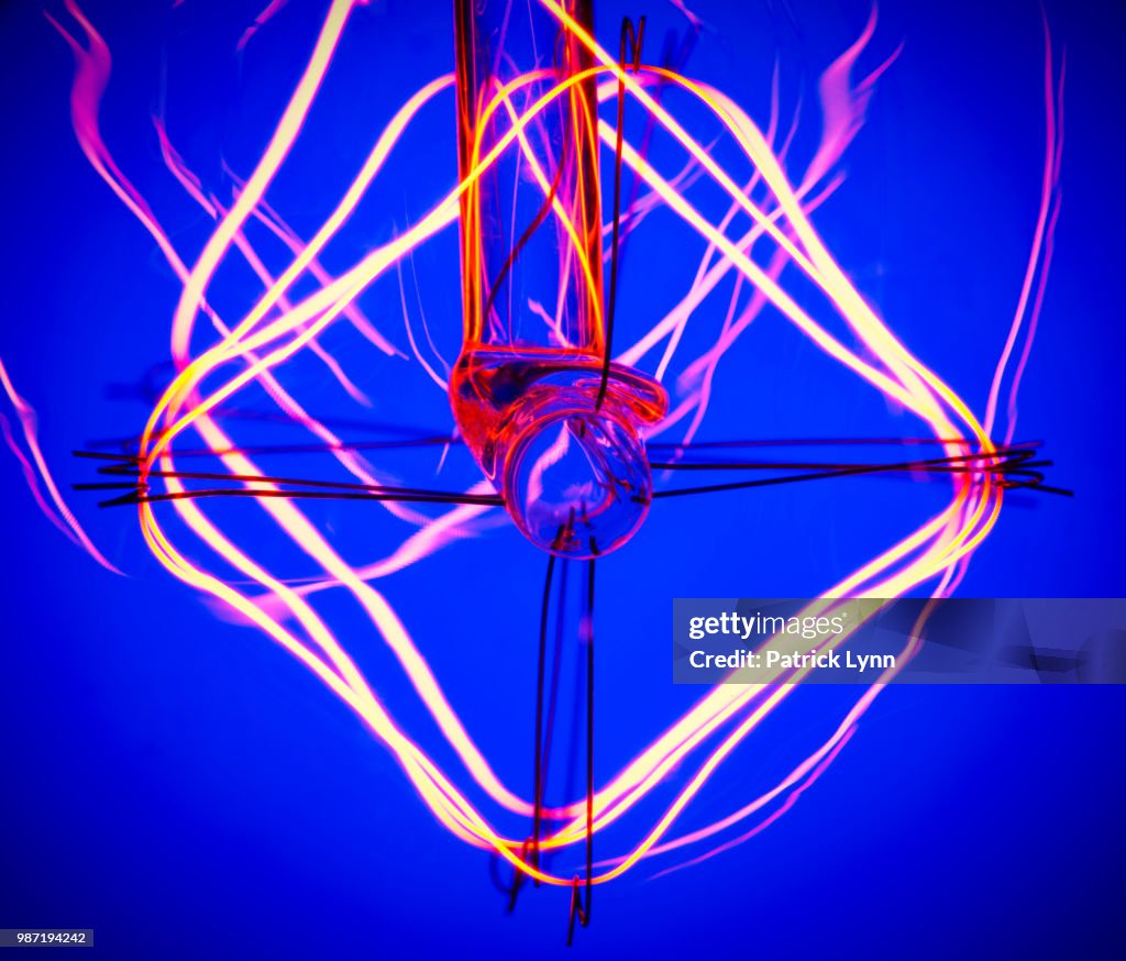 Bulb