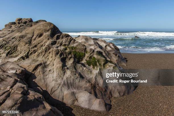moonstone beach - moonstone stock pictures, royalty-free photos & images