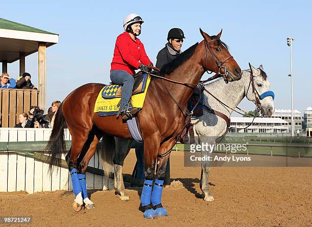 Lookin at Lucky with Dana Barnes aboard waits to go on the track during the morning workouts for the Kentucky Derby at Churchill Downs on April 28,...