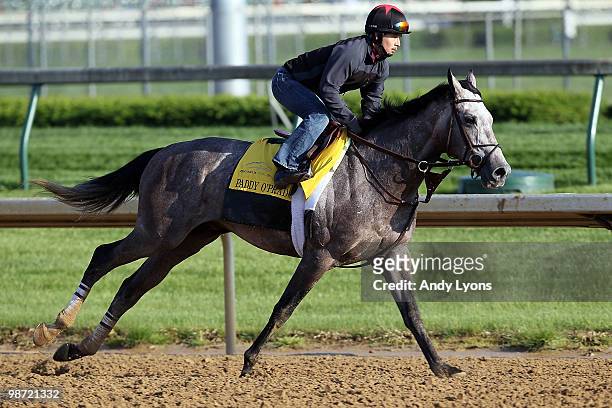Paddy O'Prado with exercise rider Jaustino Aguilar aboard runs on the track during the morning workouts for the Kentucky Derbyat Churchill Downs on...