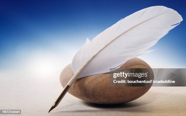 feather pen wide - pena de escrever imagens e fotografias de stock