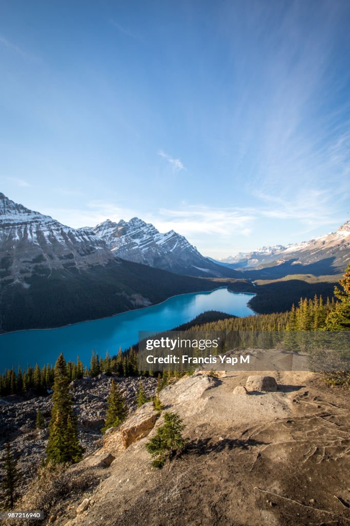 Peyto Lake in Banff National Park, Alberta, Canada.