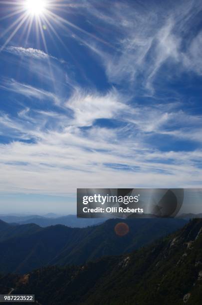 sequoia sky - sequoia stock pictures, royalty-free photos & images