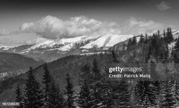 drift and lay, snow and winter - study one - patrick le lay fotografías e imágenes de stock