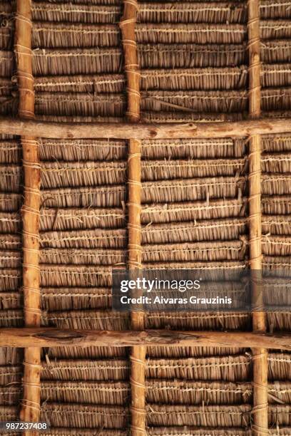 224 Aivaras Stock Photos High Res Pictures And Images Getty Images 224-aivaras-stock-photos-high-res-pictures-and-images-getty-images