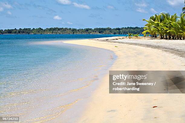 boca del drago beach, colon island (isla colon), bocas del toro province, panama, central america - isla colon stock pictures, royalty-free photos & images