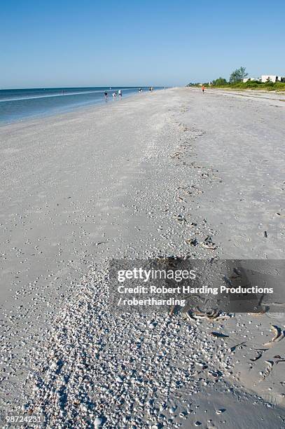 beach covered with shells, sanibel island, gulf coast, florida, united states of america, north america - north texas v florida atlantic stock pictures, royalty-free photos & images